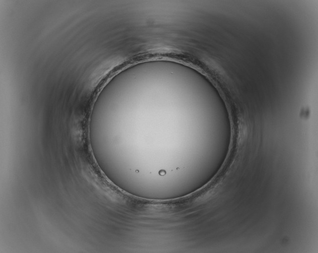 X0000112501305200908241340