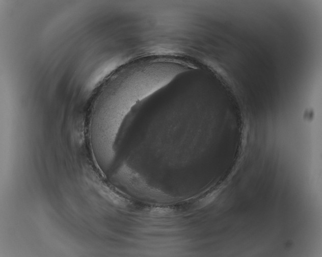 X0000112501306200908241340