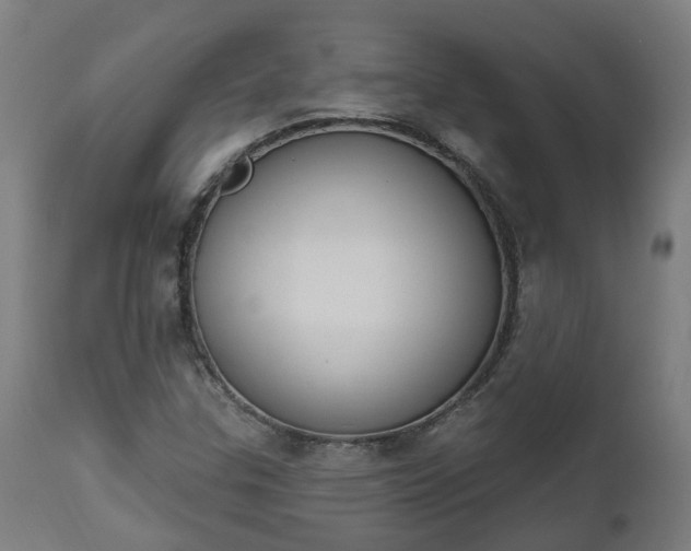 X0000112501307200908241340