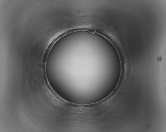 X0000112501308200908241340