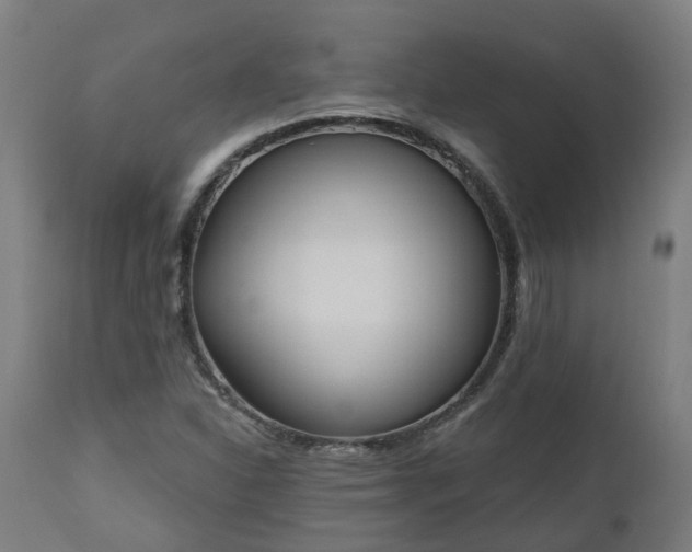 X0000112501310200908241340