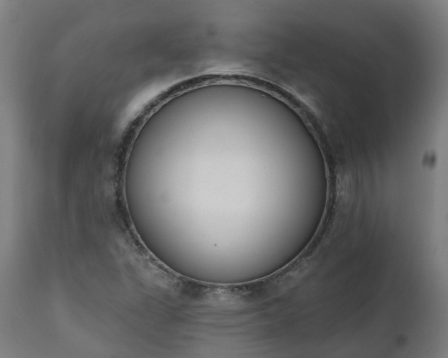 X0000112501311200908241340