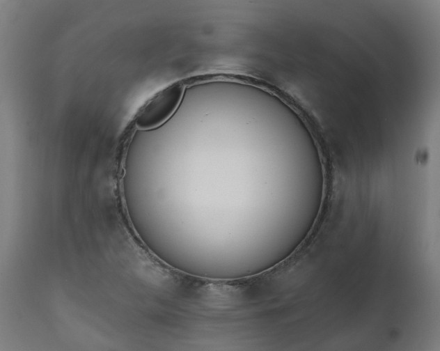 X0000112501312200908241340