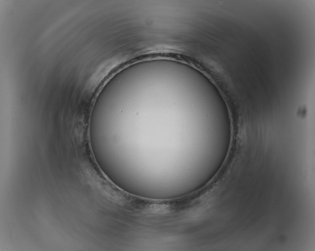 X0000112501313200908241340