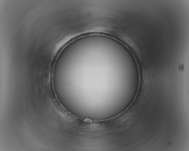 X0000112501316200908241340