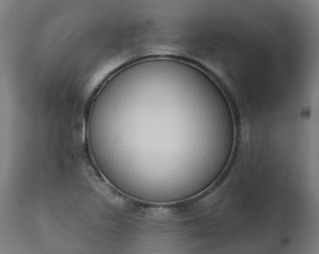 X0000112501317200908241340