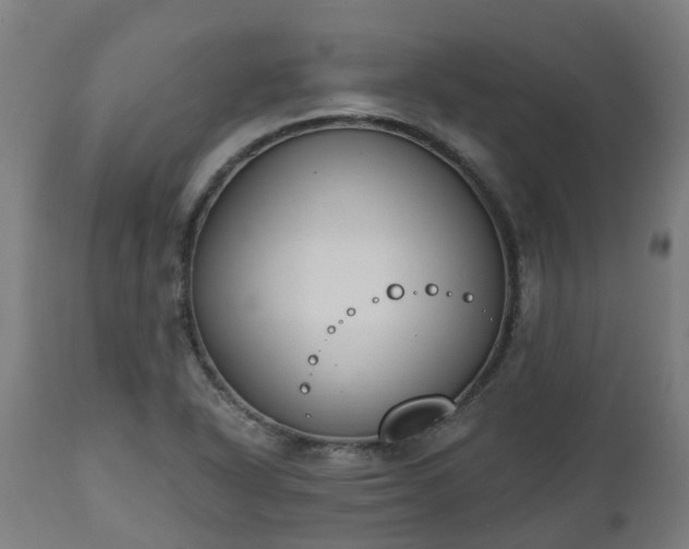 X0000112501318200908241340