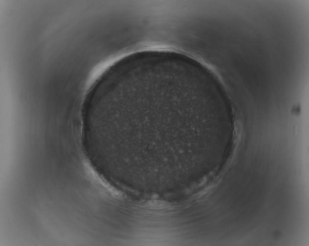 X0000112501319200908241340