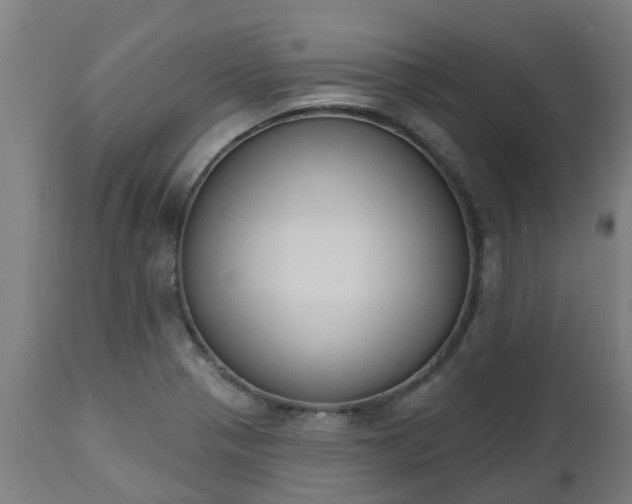 X0000112501321200908241340