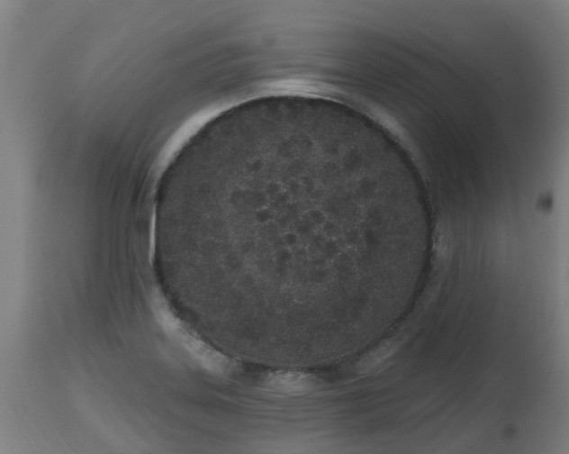 X0000112501323200908241340