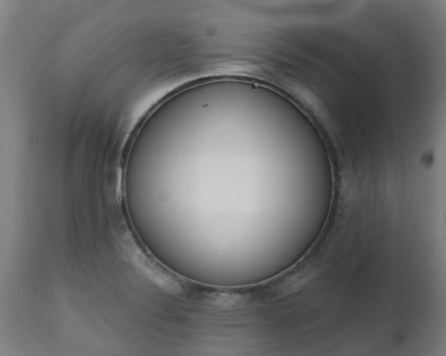 X0000112501324200908241340