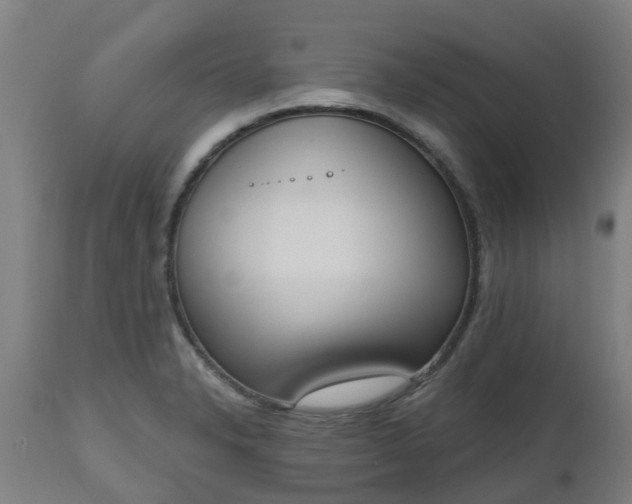 X0000112501326200908241340