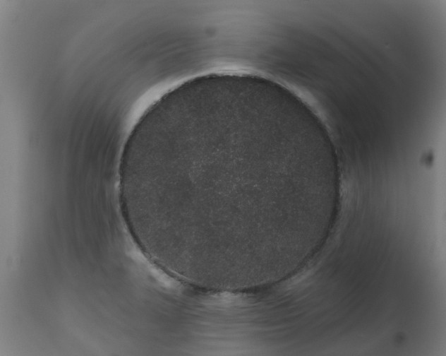 X0000112501327200908241340