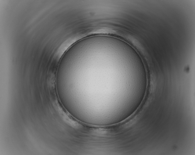 X0000112501329200908241340