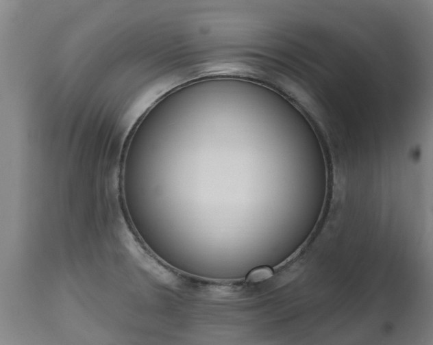 X0000112501330200908241340