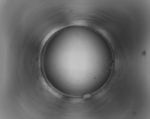 X0000112501331200908241340