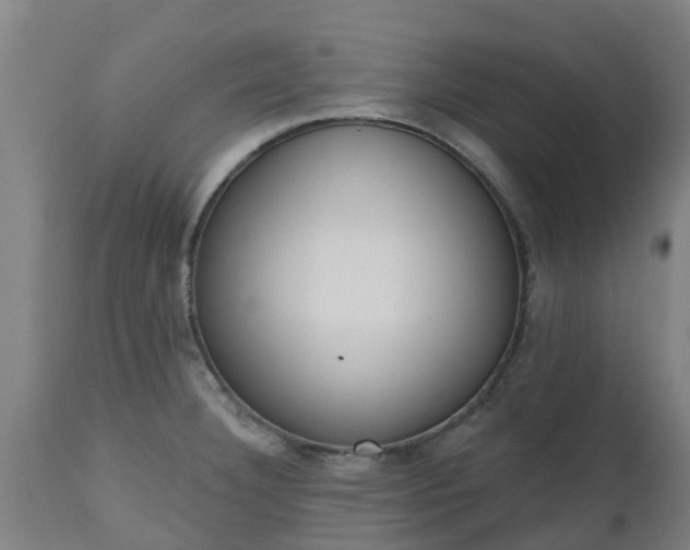 X0000112501332200908241340