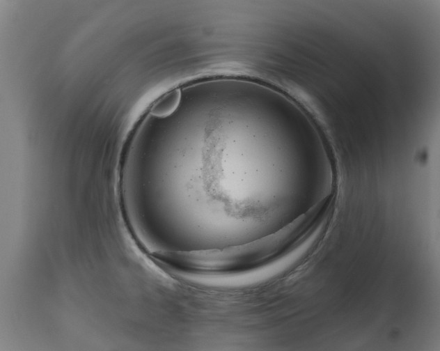 X0000112501334200908241340