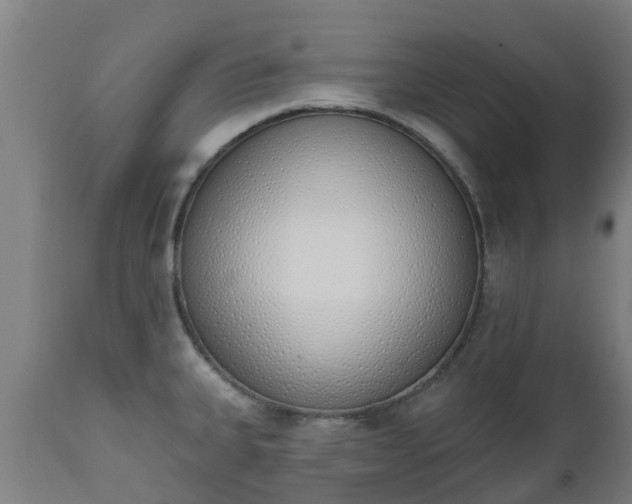 X0000112501335200908241340