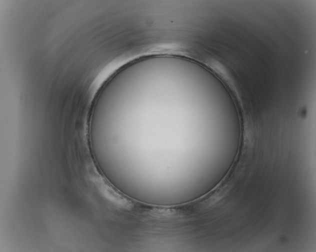 X0000112501336200908241340