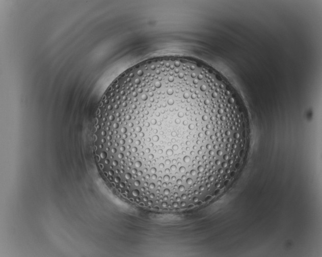 X0000112501337200908241340