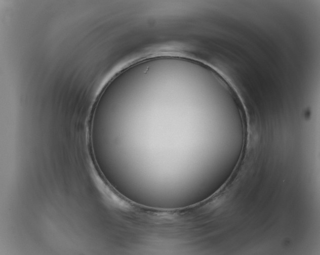 X0000112501341200908241340