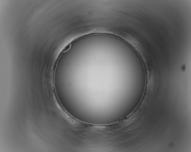 X0000112501342200908241340