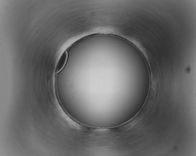 X0000112501343200908241340