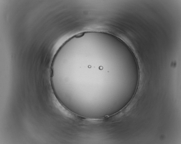 X0000112501344200908241340