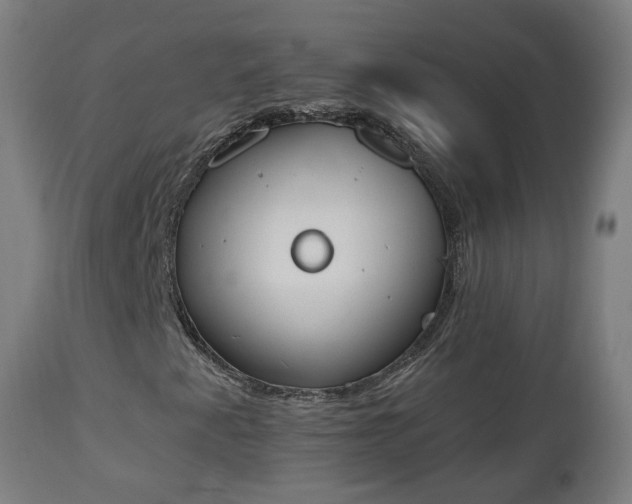 X0000112501345200908241339