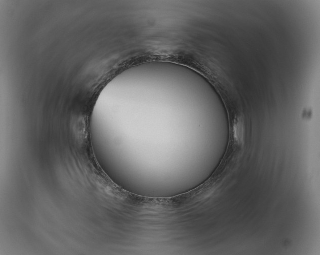 X0000112501347200908241339