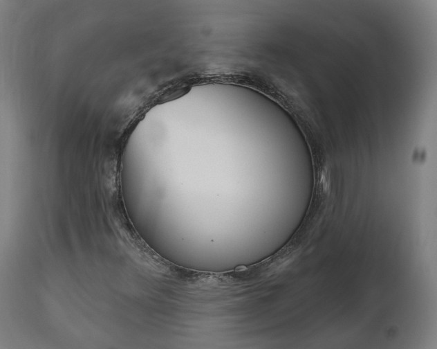 X0000112501348200908241339