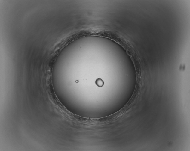 X0000112501349200908241339