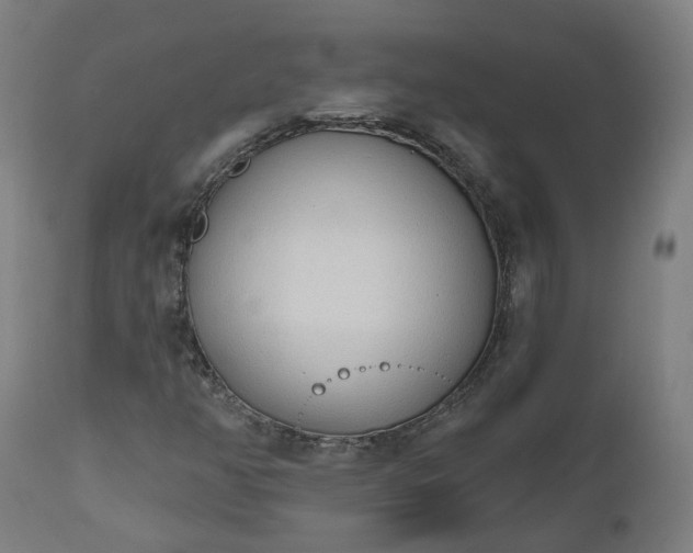 X0000112501350200908241339