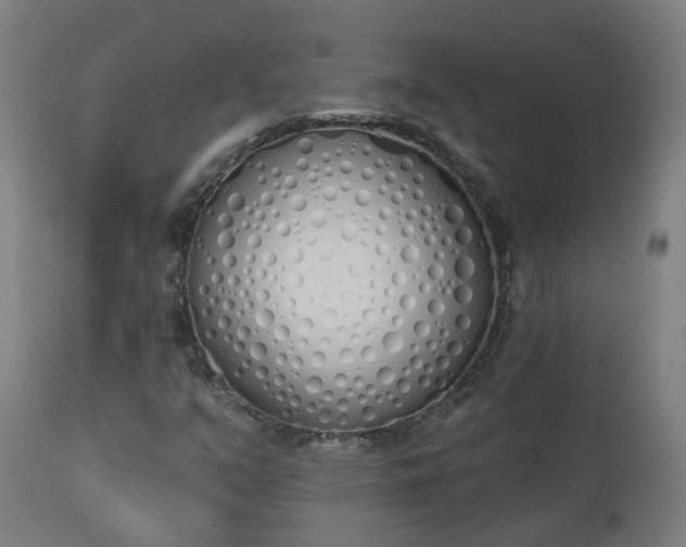 X0000112501351200908241339