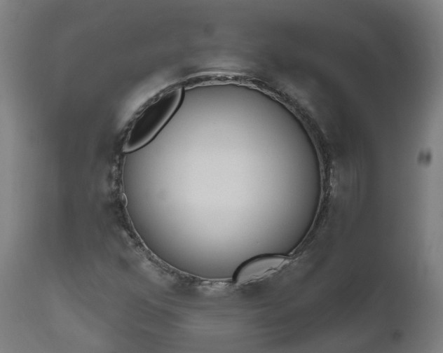 X0000112501352200908241339