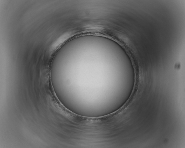 X0000112501354200908241339