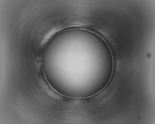 X0000112501355200908241339