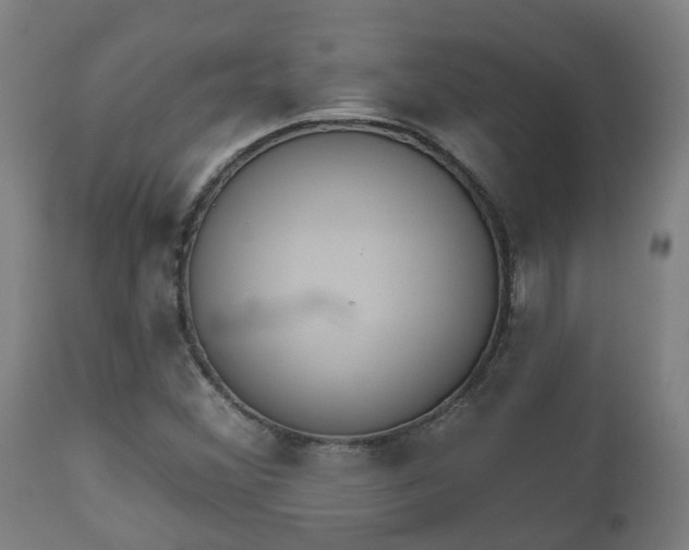 X0000112501356200908241339