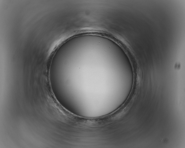 X0000112501357200908241339