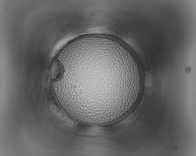 X0000112501358200908241339