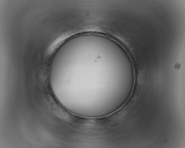 X0000112501359200908241339