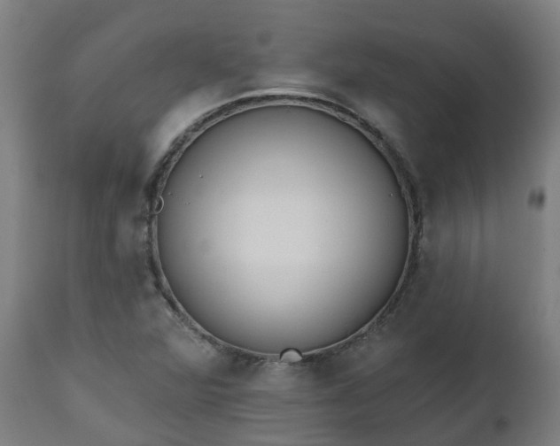 X0000112501360200908241339