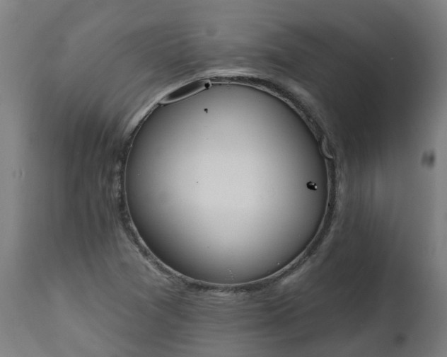 X0000112501361200908241339