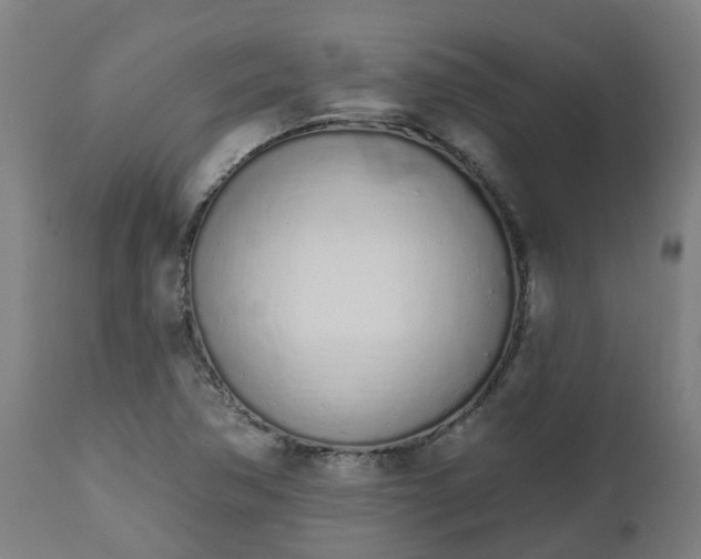 X0000112501362200908241339