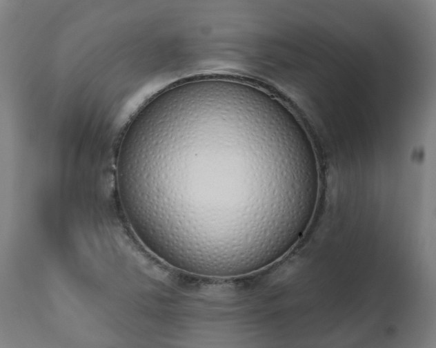 X0000112501363200908241339