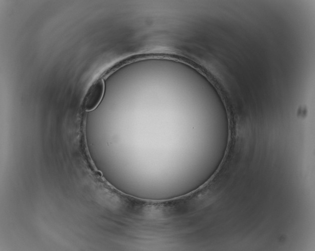 X0000112501364200908241339