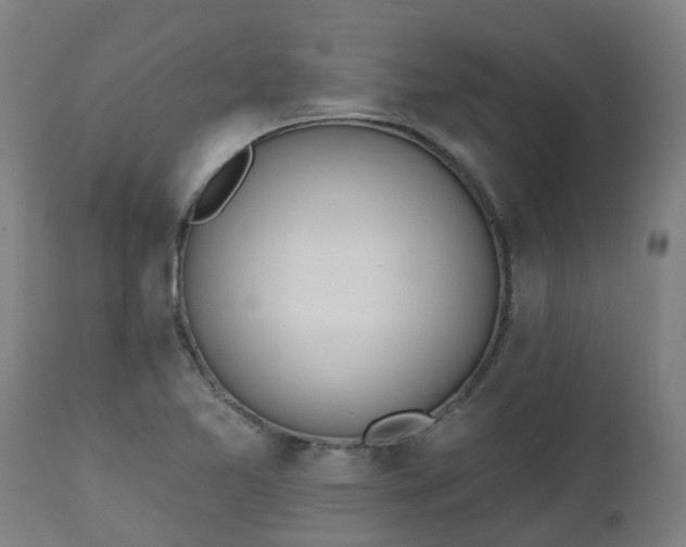 X0000112501365200908241339