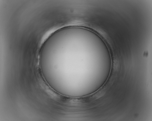 X0000112501366200908241339