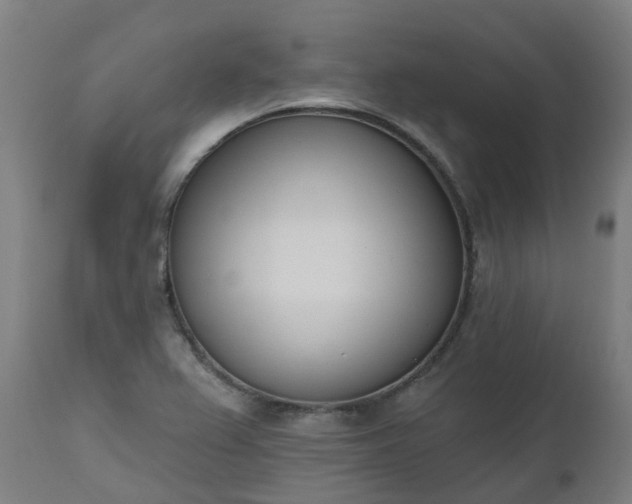 X0000112501367200908241339